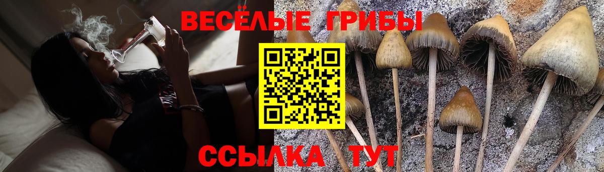 Псилоцибиновые грибы Magic Shrooms  Вход с VPN  Будённовск  Галлюциногенные грибы мицелий 